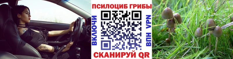 Галлюциногенные грибы Cubensis  Истра 